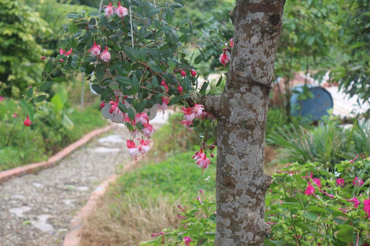 Thang Nam Ruc Ro - Dalat Homestay Extérieur photo