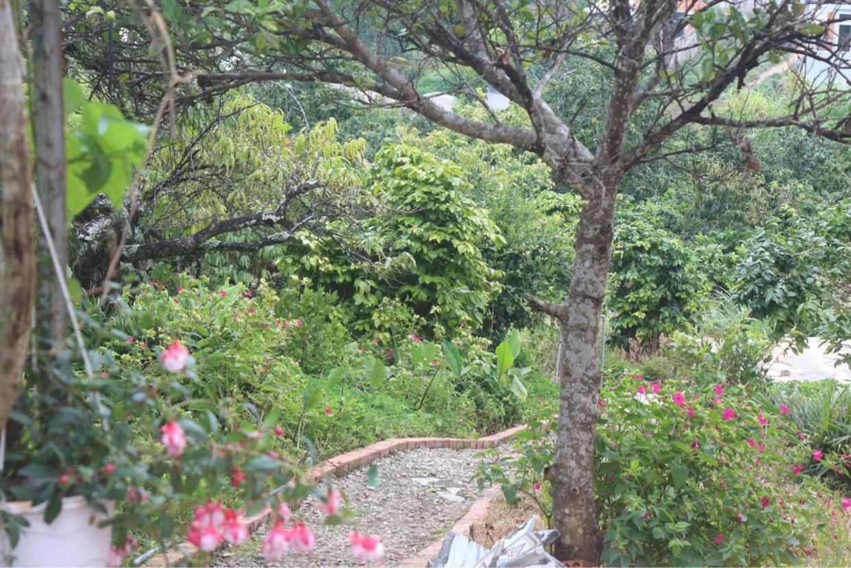Thang Nam Ruc Ro - Dalat Homestay Extérieur photo
